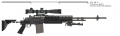 M14 EBR.png